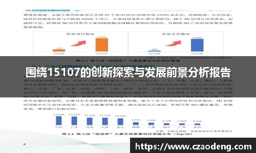 围绕15107的创新探索与发展前景分析报告
